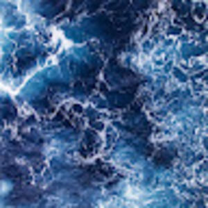 Meet your Posher, Kendall